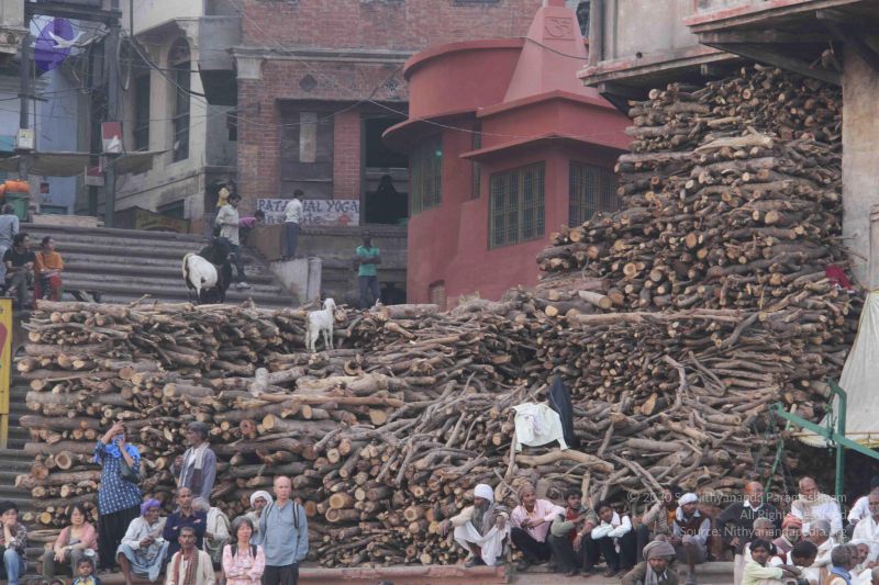 File:20130213 Photo 2288 1Q FAKoJ-H1 WVVsvvbucytV7xU1VXbyc.JPG