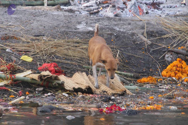 File:20130213 Photo 2294 11oyskggWwIOhnmNXZIJJRFWraqtBRmYL.JPG