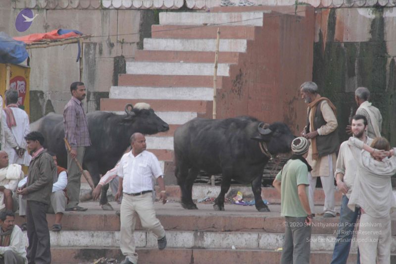 File:20130213 Photo 2297 1Fa-k5ZpcvmvwI1AB8uh5DmdxxV0uk4dM.JPG