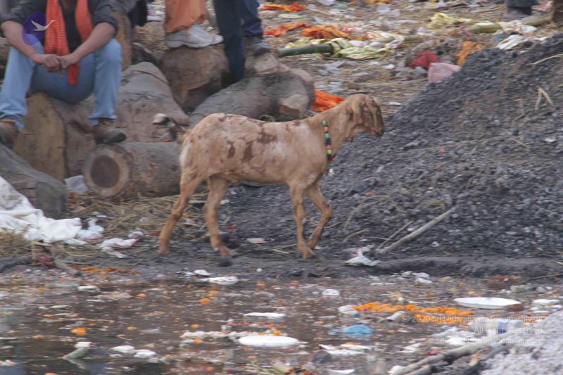 File:20130213 Photo 2298 1soUX7eqWXfhhqGoSWbgwlFj-sRcPwKUm.JPG