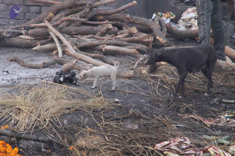 File:20130213 Photo 2300 1U5v2GudsdLJVj9LmJ6 GYrF Wffo4DK9.JPG