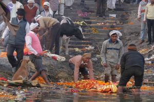 20130213 Photo 2305 1 8Fyd0rNdPzHphD85i1RPyrQH2hdi6mi.JPG