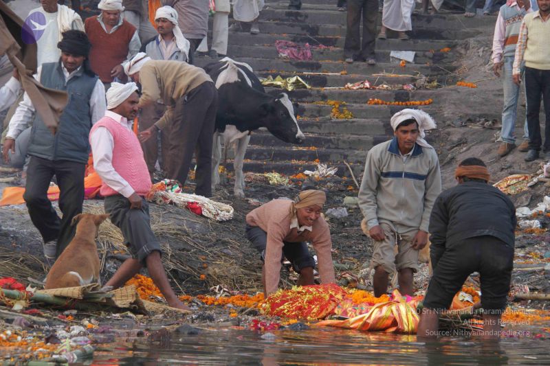 File:20130213 Photo 2305 1 8Fyd0rNdPzHphD85i1RPyrQH2hdi6mi.JPG