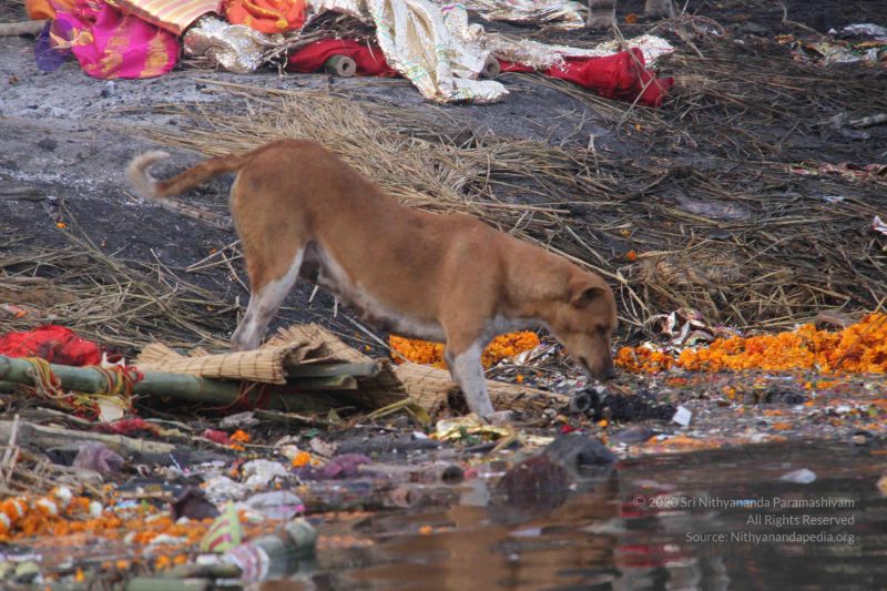 File:20130213 Photo 2310 12sQxTPR-EQvYuezvDrtJ2DKyDE9 dBfC.JPG