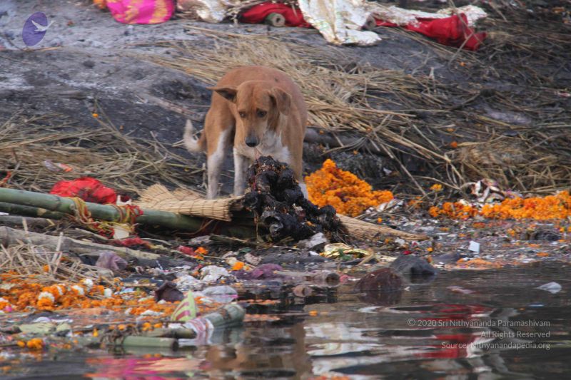 File:20130213 Photo 2312 1coc2enJ-ZvGl Uw2hZGM4M8LGn3q7EAG.JPG