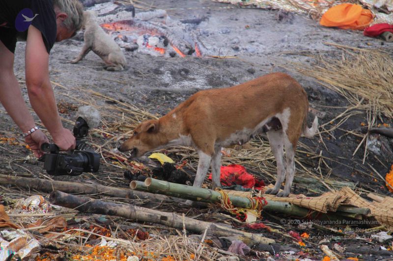 File:20130213 Photo 2321 1ad11DGY6Xp8z2fykW-z0jPxDmAUZmrjJ.JPG