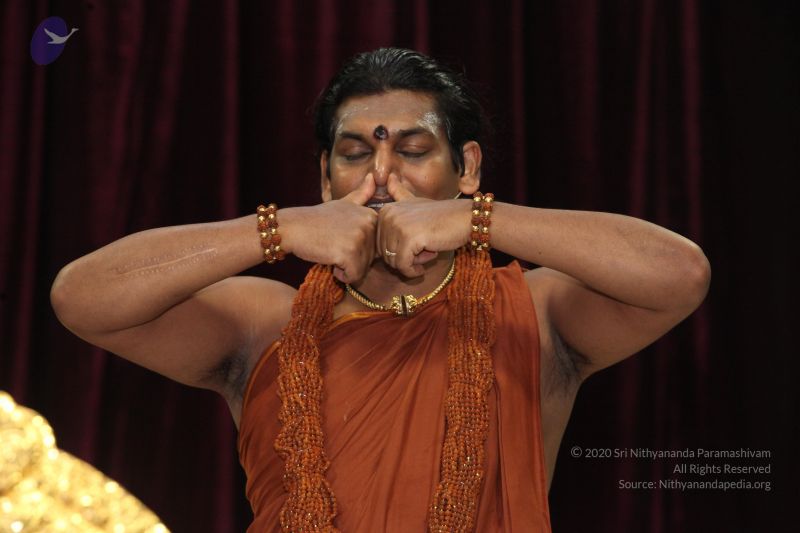 File:20130218 Photo 1137 1iXnklHu2y-8KsG9bZPYz8OItKiuXu4sJ.JPG