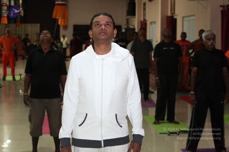 File:20130220 Photo 1001 1mjl01AUW35fzQfc8cT-kKzHNj YwiUlW.JPG