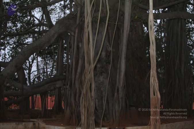 20130220 Photo 1034 11p77r2vL84MinUBwybMjLI8dmik1kbej.JPG