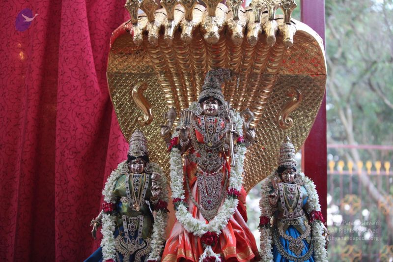 File:20130222 Photo 1010 1cUimProAAYwIT7wZPcD0RA8v2Ghsz9yl.JPG