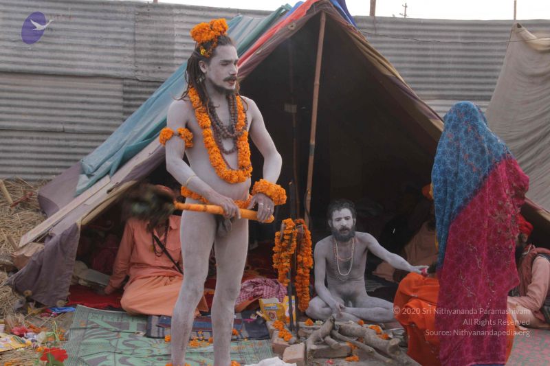 File:20130222 Photo 1812 1ZBbm1eXLLoLGYrekOitbyaYE4eBNmgE9.JPG