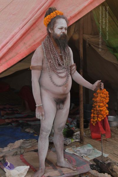 File:20130222 Photo 1826 1VpI7gXUHTMoq-O8VG6fUkHRe2ityZTDS.JPG