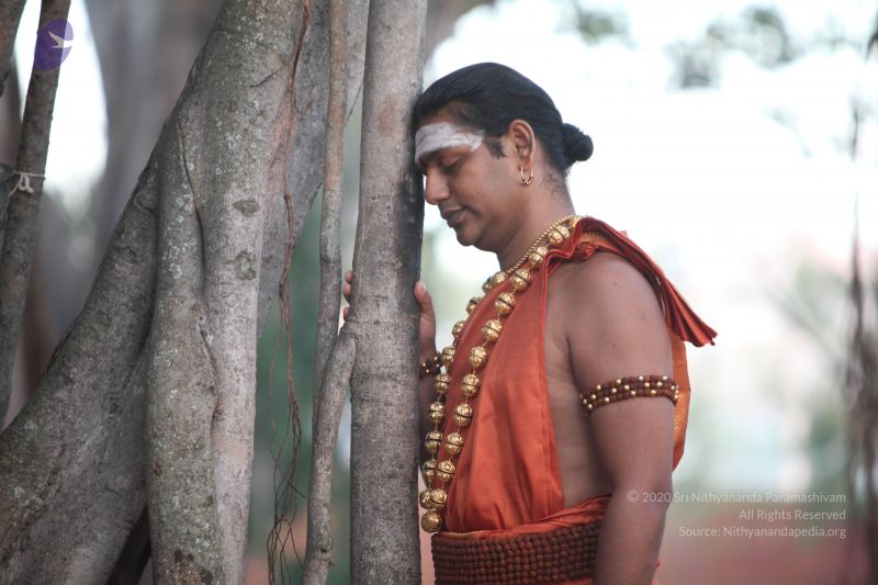 File:20130225 Photo 1010 1olEACPdf5UmSfZLGErBNvPHmaRCx7Xbp.JPG