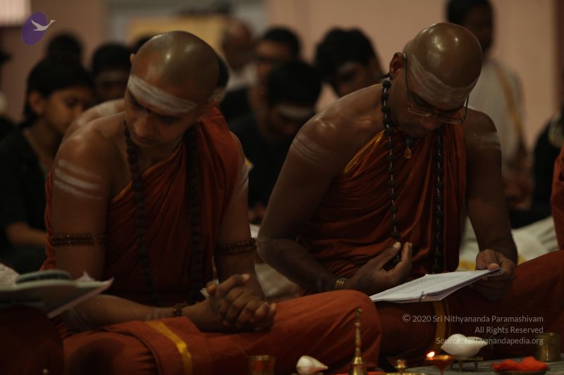 File:20130225 Photo 1087 1UcE6IOekhMKPAMQNLMxXL-8jjNofK2r1.JPG