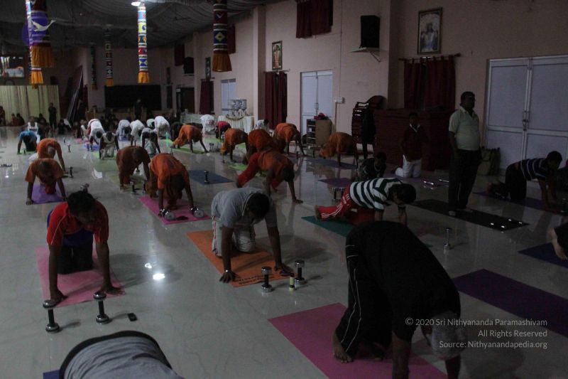 File:20130228 Photo 1001 17yhZMbMA49F L1s6s9U2dgmMTQbTy5r .JPG