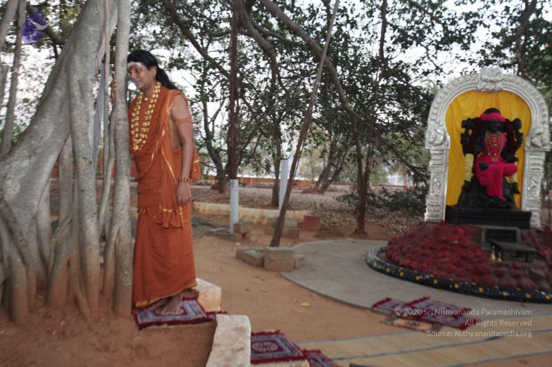 File:20130228 Photo 1030 1CXfF2nI-MwerEf8keDy8dczDZeeNsEyl.JPG