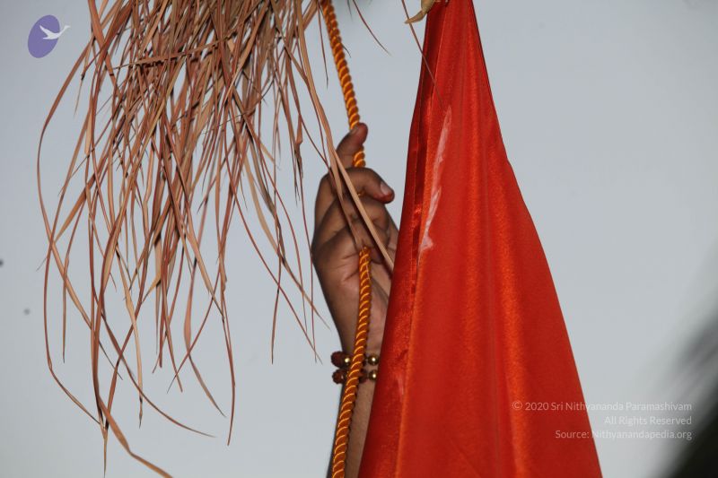 File:20130228 Photo 1055 1dFQU7TPBYmgsWL-xQcjR7652BCVD77p1.JPG