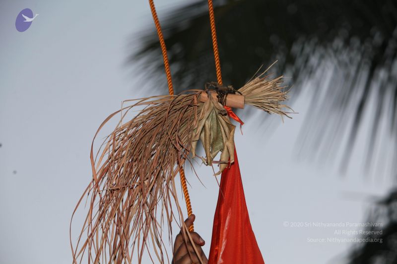 File:20130228 Photo 1056 11ncrp1NaM AyyZtc2ZxVvOAF3Z-z LvF.JPG