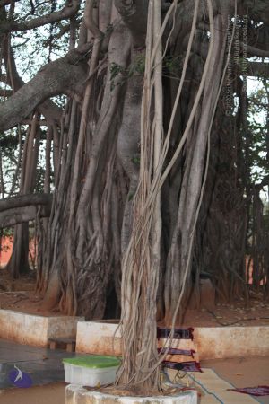 20130301 Photo 1006 1bKkKwVEnZJhc787j pYBdaOgrhybwW8Y.JPG