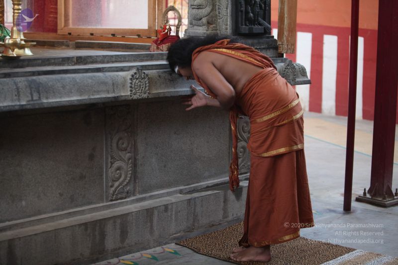 File:20130301 Photo 1020 13vEplS9JrSvkGZyd2WARhzUJpkDvV8Za.JPG