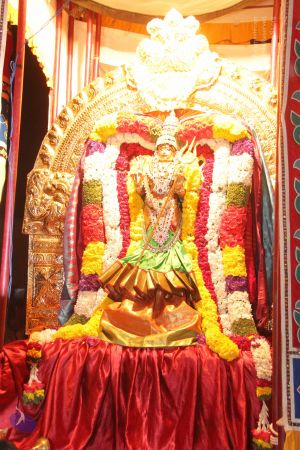 20130302 Photo 1107 11t8Qk-a1mzPf-DNXT1I7tzqY6TxEsz6Z.JPG