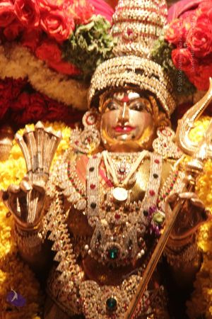 20130302 Photo 1381 100kRLMpLIhbTqgwDpzaqH6xHXXThuJMJ.JPG