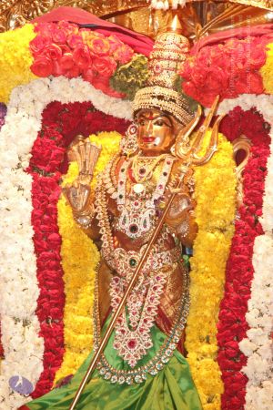 20130302 Photo 1415 1OLrznTxsxJV2L9s5AFZxvrfKZscO0a9P.JPG