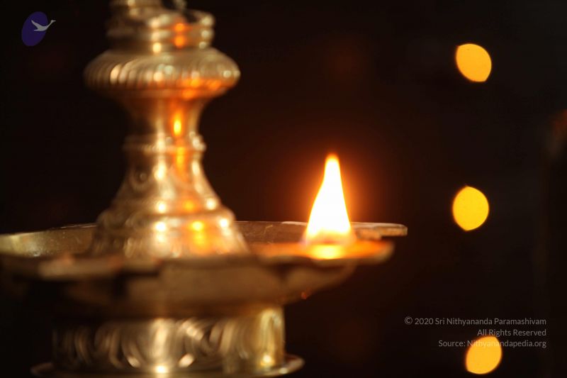 File:20130305 Photo 1013 1AUUseeHmtrFMDuJEG2VHlZJbuI6gJYPr.JPG