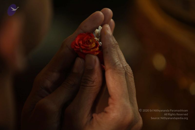 File:20130305 Photo 1062 1fbBJR4Y1ZwyZpiujgT1ibaLYmgUnQw7t.JPG