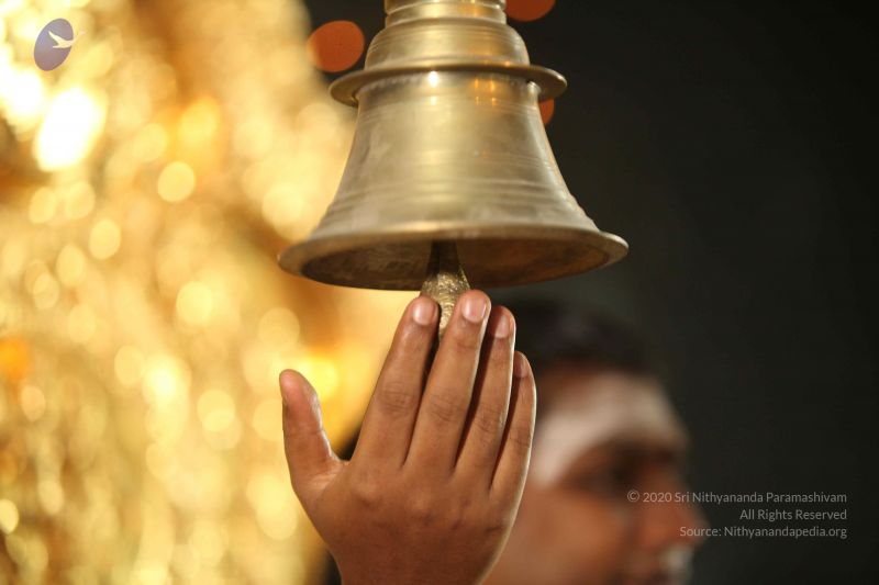 File:20130305 Photo 1071 1rShcLe4RY3AgkGz5aB6xkfhwMxEDJWw6.JPG