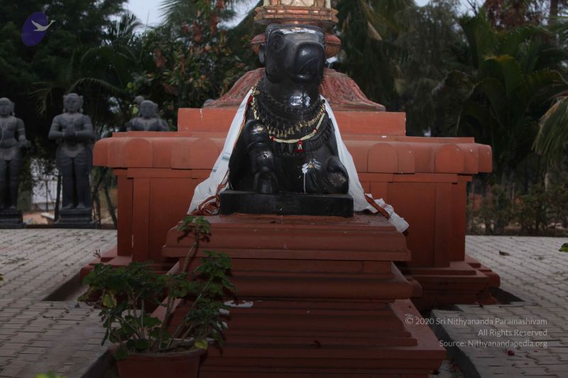 File:20130306 Photo 1000 1rnohYm4J0AndBa7rVcRf3yNAcqBm7zlk.JPG