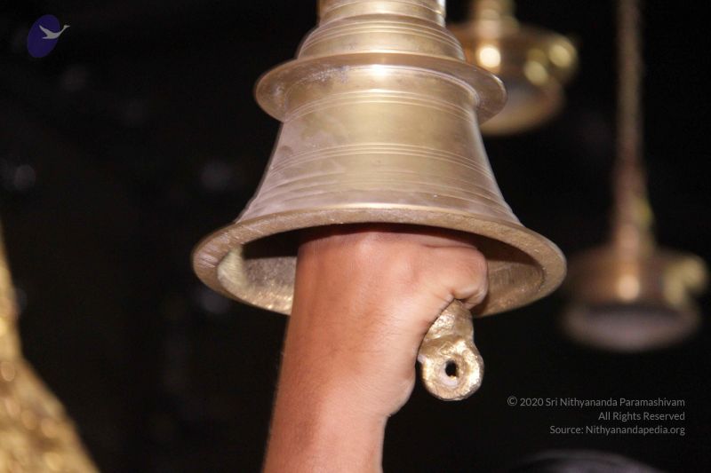 File:20130306 Photo 1037 164Ctx6zC4EUGowP3Xvrmc4KNaqd49M-w.JPG