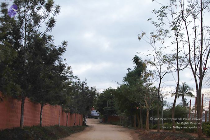 20130307 Photo 1000 1Q5qiXw9DVPhDUrp6LUDL0si-cKubmLuH.JPG