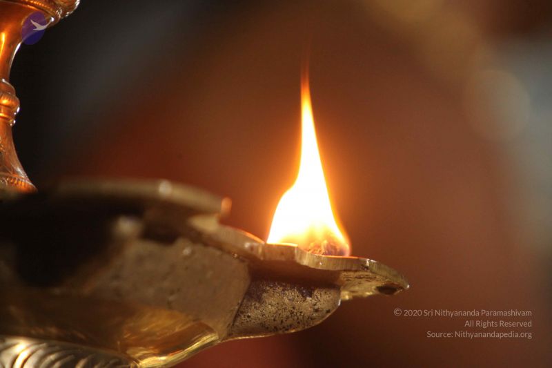 File:20130308 Photo 1116 1MSVIDSLrneVbkXtKU1Bh6VFkgnm6Rs8C.JPG