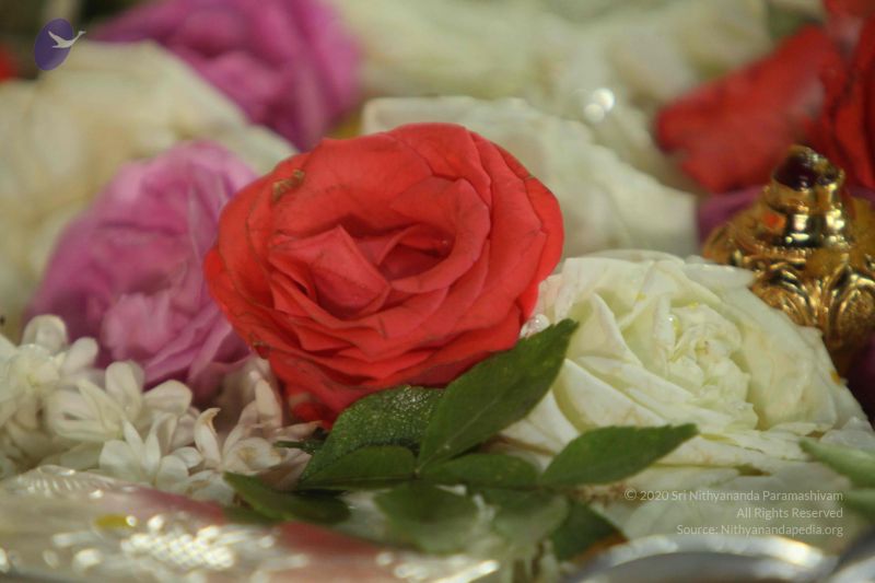 File:20130308 Photo 1140 1J7XTv42scWrVf0Q7C7nfuJUyaIn2MDCo.JPG