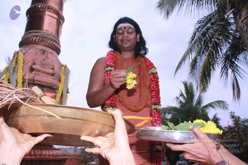 File:20130311 Photo 1088 1DxOh7k3kbrJD4t8ndCmADojzZ942P8M3.JPG