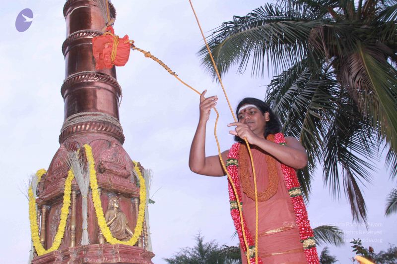 File:20130311 Photo 1093 1LJnBL3oK3wuC5e4OLEm tL4FwNNROhtq.JPG