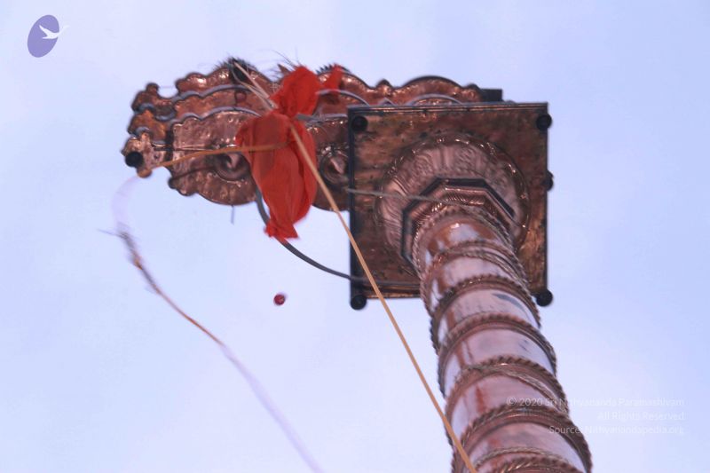 File:20130311 Photo 1110 1fxOvS44HgK rFAc7vQeoSokZekWob7Kq.JPG