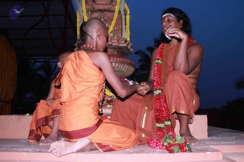 File:20130311 Photo 1180 1828mZ9AJMF4SmUbiaikvW55dsy6sCa3W.JPG