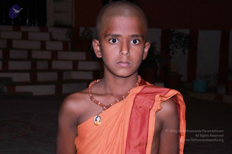 File:20130311 Photo 1214 114sndThcQ5IPn7Khc7An85ykSq8clbJA.JPG