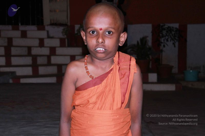 File:20130311 Photo 1219 1hiHfC8HeFAFjPIzwG450T2 c5YaYKooR.JPG