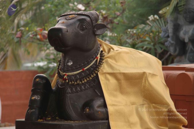 20130317 Photo 1024 1bLqaQESoF8yzUvifBQP-NxdoltRfn6DQ.JPG