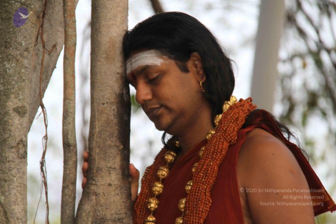 20130317 Photo 1036 1Q wPRJWzd7jgEjn 73hNAx6grbz07kPv.JPG