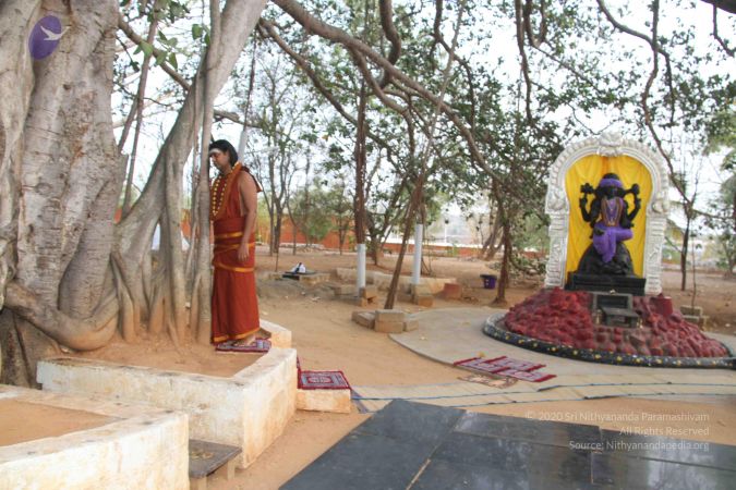 20130317 Photo 1039 1dUMJOsRn6CcbhvARDwqforr3JWUjx4BA.JPG