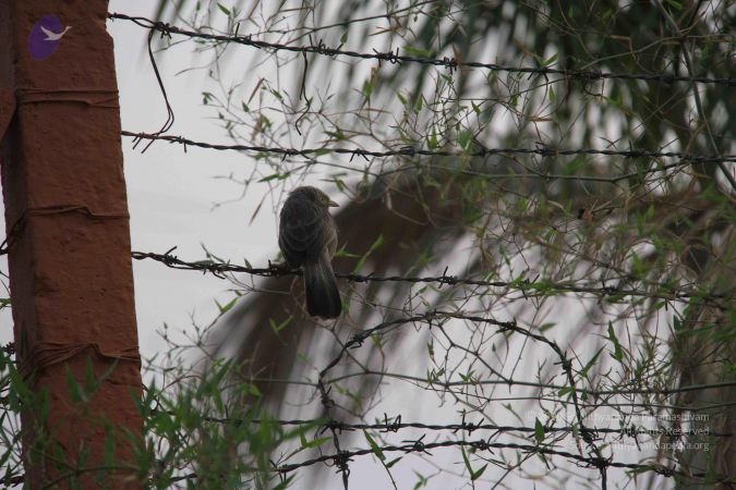 20130324 Photo 1001 130RGPqbxXhrimIazaA2pDuh1Y0RidTjn.JPG