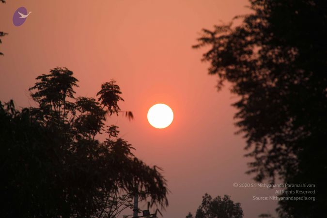 20130324 Photo 1002 1gpEY7w6iUfM6N9CCs991m12S1wFkulxH.JPG