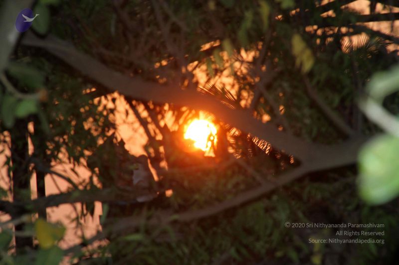 File:20130324 Photo 1016 1Bzk1Bog Fc feRko7tFy-7HHVkx6D2RZ.JPG