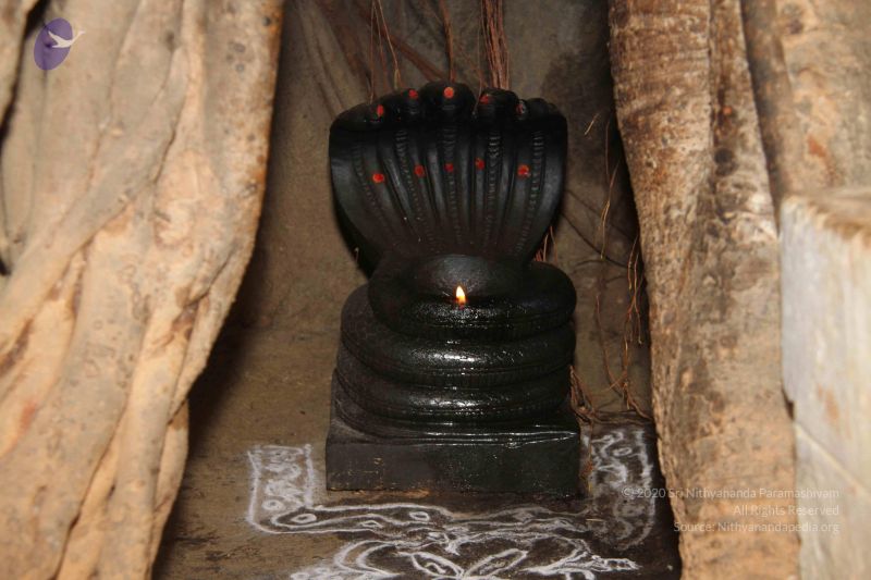 File:20130324 Photo 1017 1BPrT8PmHCM -eVq2URLr82friOHG2O 5.JPG