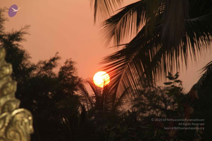 20130327 Photo 1002 1Ea35yPwhLwR3vb2dsyINb4IICRUja4Vd.JPG