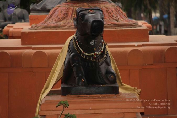 20130330 Photo 1024 1KEYjudhX2JSVbl7NK IUhUMNHE0jnLHL.JPG